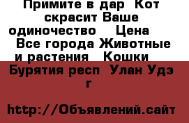 Примите в дар. Кот скрасит Ваше одиночество. › Цена ­ 0 - Все города Животные и растения » Кошки   . Бурятия респ.,Улан-Удэ г.